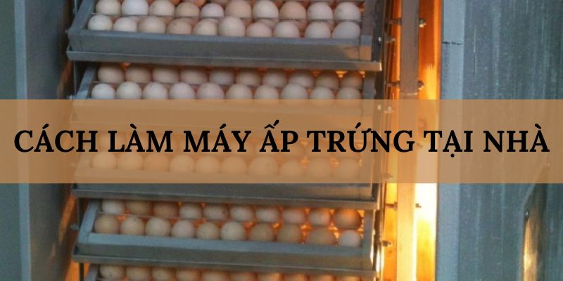 Banner www.rongdologistics.vn