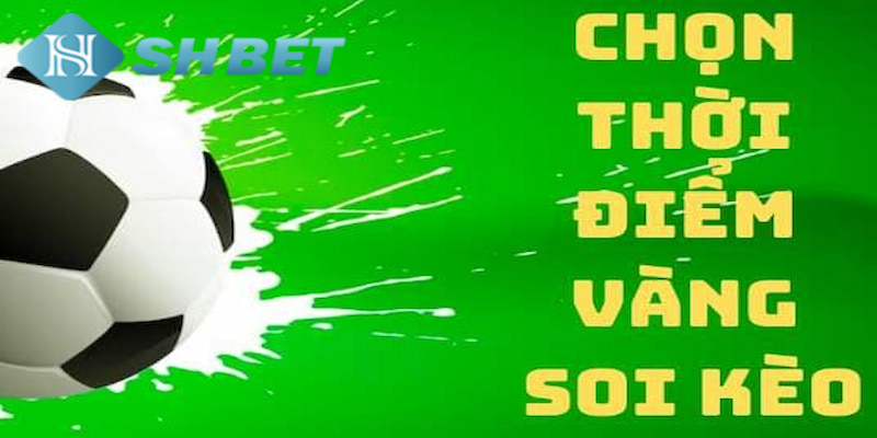 Banner www.rongdologistics.vn