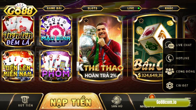 Banner www.rongdologistics.vn