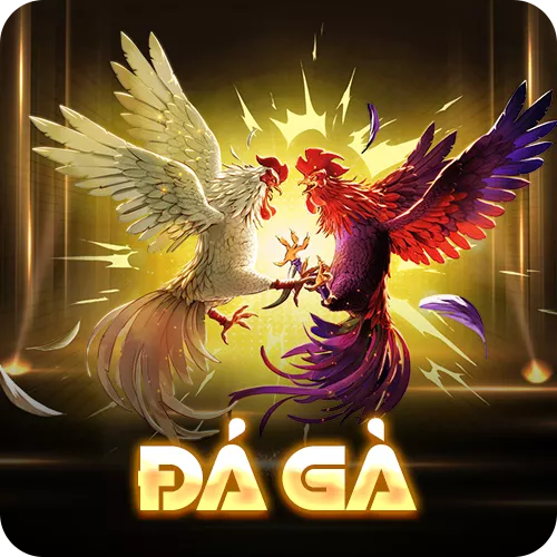 Banner www.rongdologistics.vn