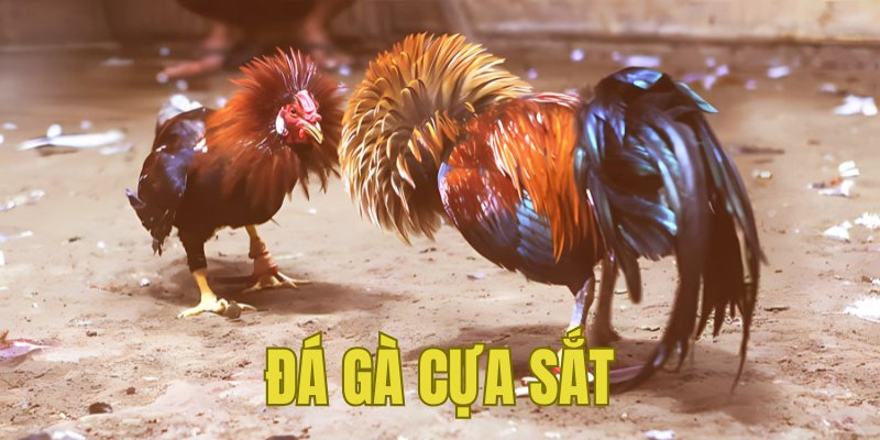 Banner www.rongdologistics.vn