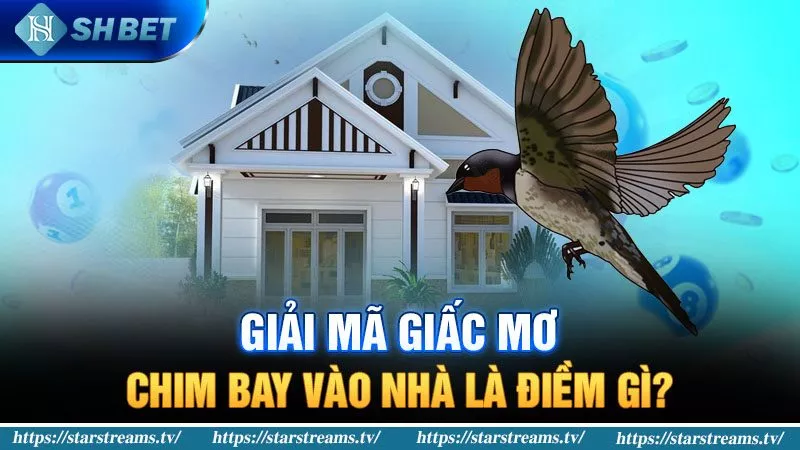 Banner www.rongdologistics.vn