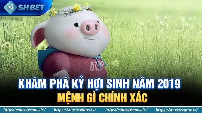 Banner www.rongdologistics.vn