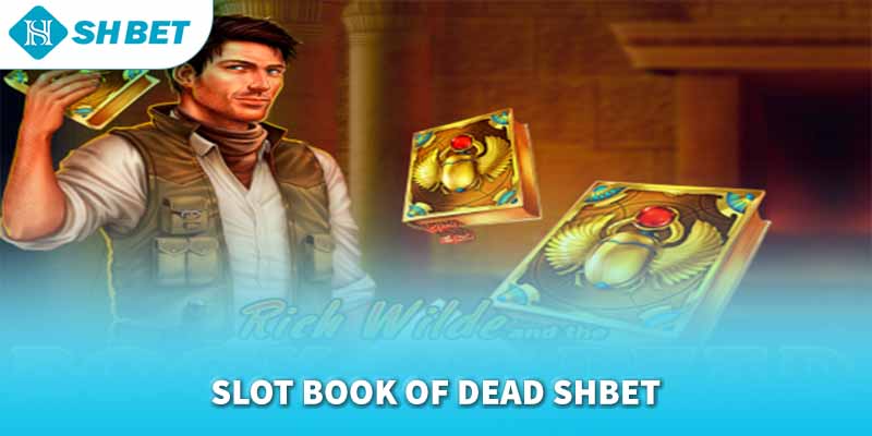 Banner www.rongdologistics.vn