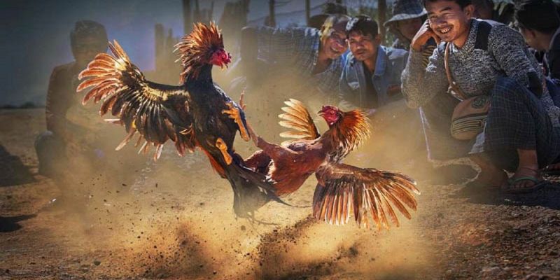 Banner www.rongdologistics.vn