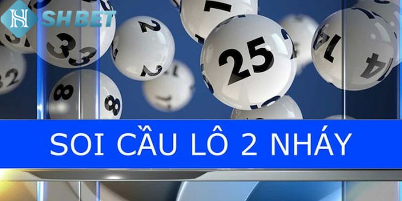 Banner www.rongdologistics.vn