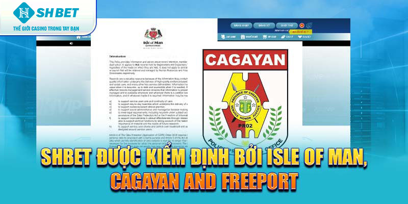 Banner www.rongdologistics.vn