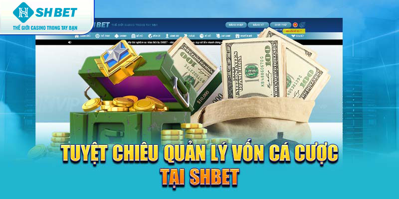 Banner www.rongdologistics.vn